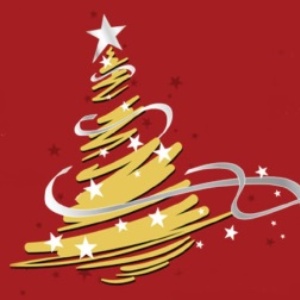 Accensione albero della comunità