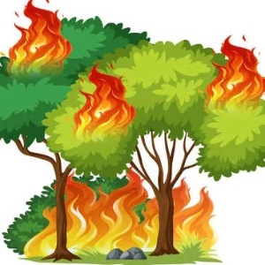 INVITO A SEMINARIO SUL TEMA ANTINCENDIO BOSCHIVO