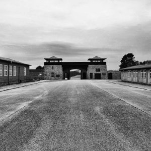 viaggio della memoria