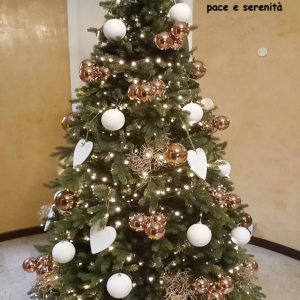 L'amministrazione Comunale di Ranica eprime i più sentiti auguri di un Buon Natale e un anno nuovo di pace e serenità