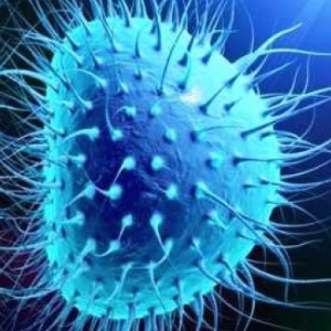 Coronavirus