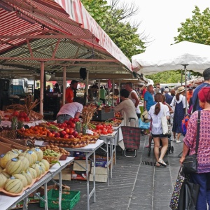 RINNOVO DELLE CONCESSIONI DI POSTEGGIO 