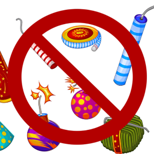 Non utilizzare petardi e fuochi d'artificio