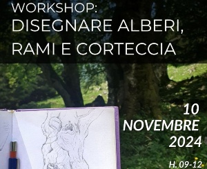 Disegnare alberi, rami e corteccia