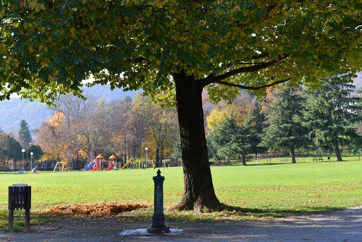 Immagine Parco di Villa Camozzi 