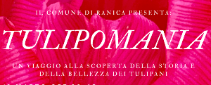 TULIPOMANIA